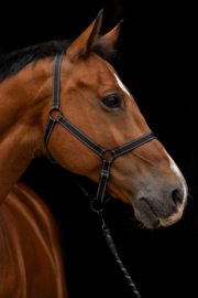 Excellent  Horse Halster Premium