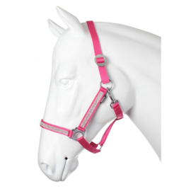 Halster diamantjes Horka