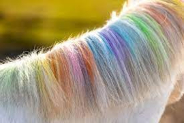 Excellent paardenpraat regenboog haarkrijt