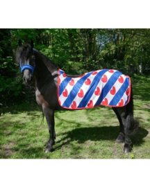 HB vliegen uitrijdeken fries