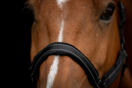 Excellent Horse superior halster