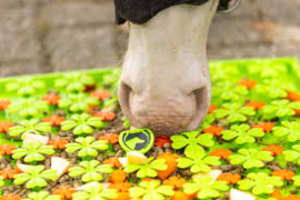 Excellent horse snuffle mat