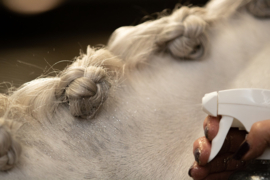 Lucky Horse  Unicorn Glitter spray