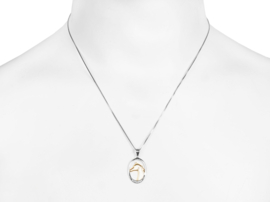 Ketting met hanger paard