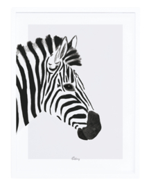 Lilipinso Serengeti Poster - Zebra (P0264)
