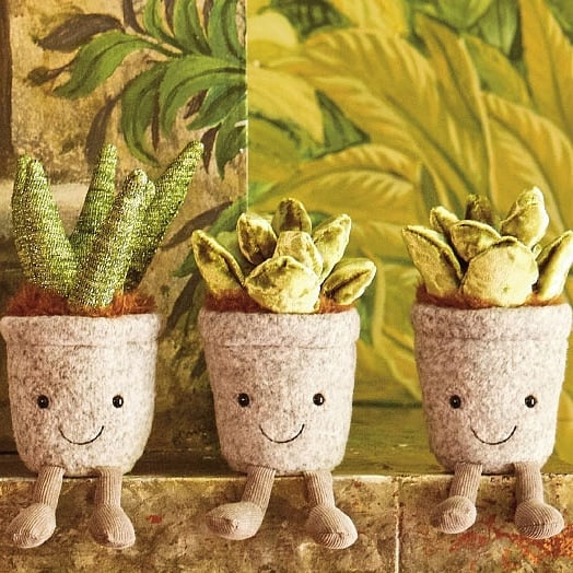 jellycat plant
