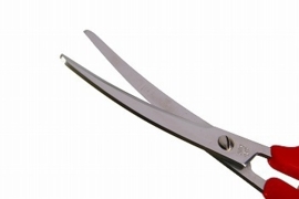 Silky MCUSTA Japanese fruit scissors OS-185