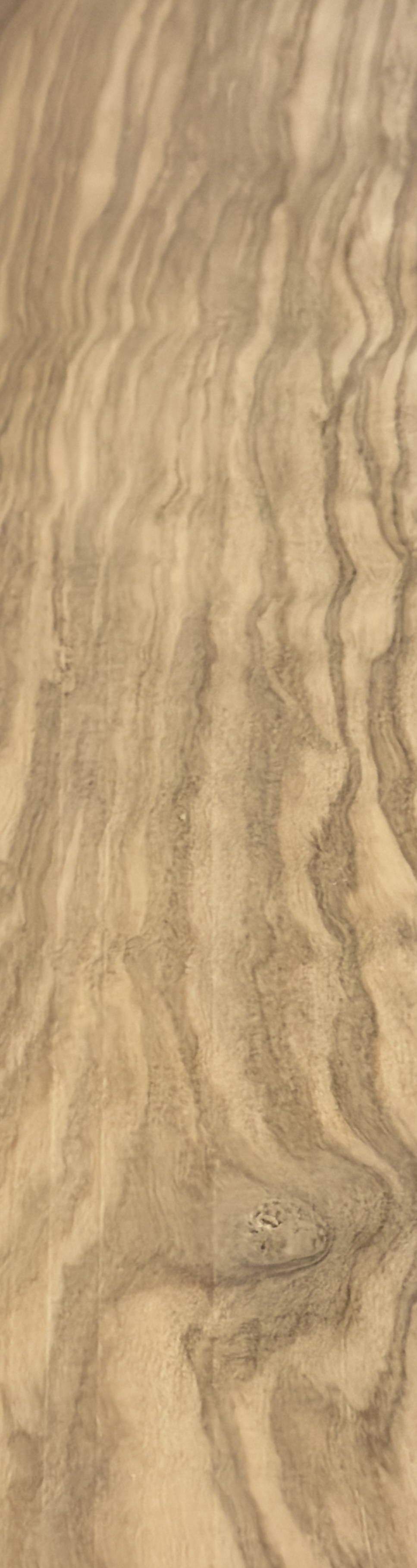 Scale parts - European olive wood -