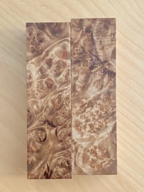 Myanmar warrelnoest kamferhout (Myanmar Camphor burl wood) - wild-