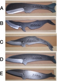 Tosa Kujira - whale knife - type B