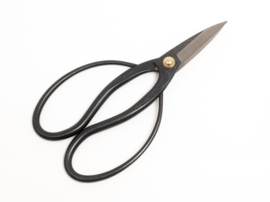 Wazakura Traditional Bonsai Scissors 7"(180mm)