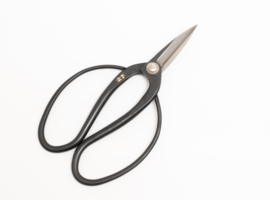 Wazakura Stainless Yasugi Steel Traditional Bonsai Scissors 7"(180mm)