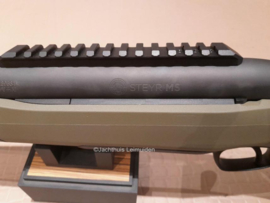 Steyr MS Wild