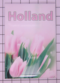 10 stuks  koelkastmagneet Holland   MAC:20.136