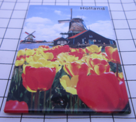 10 stuks koelkastmagneet molen tulpen Holland  MAC:20.283