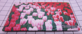 10 stuks  koelkastmagneet Holland   MAC:20.130