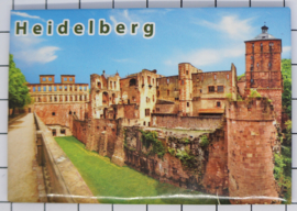 10 stuks koelkastmagneet Heidelberg N_DH017