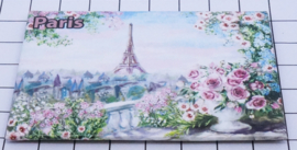10 Magnettes   Paris  Mac:10.050