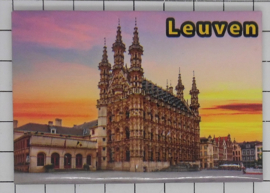 10 stuks koelkastmagneten Leuven N_BLE_1.003