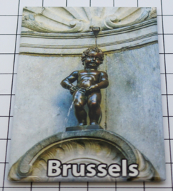 10 stuks koelkastmagneet Brussels N_BX040