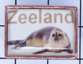 PIN_ZE1.002 pin Zeeland