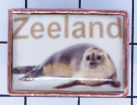 5 stuks pins (=1,49 per stuk) PIN_ZE1.002 pin Zeeland