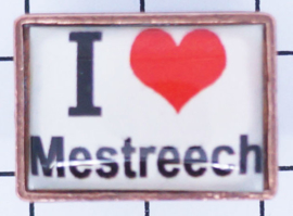 5 stuks pins (=1,49 per stuk) PIN_LI1.202 pin I love Mestreech