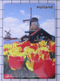 10 stuks koelkastmagneet molen tulpen Holland  MAC:20.283