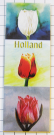 10 stuks koelkastmagneet Holland Tulpen MAC:21.101