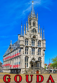 12 stuks 3D koelkastmagneet Gouda 3D-ZH002