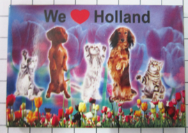 10 stuks koelkastmagneet honden katten we love Holland MAC:20.539