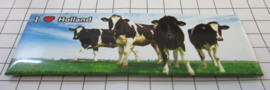 10 stuks koelkastmagneet koeien Holland MAC:21.510