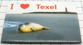 10 stuks koelkastmagneet  Texel  N_NH3.010