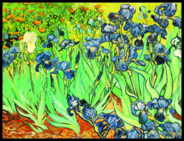 pak 25 posters (35.5 cm x  27.2 cm) POS205 Irissen Vincent van Gogh