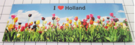10 stuks koelkastmagneet Holland MAC:21.102