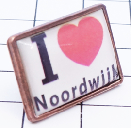  5 stuks pins (=1,49 per stuk) PIN_ZH10.001 pin Noordwijk