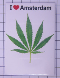 10 stuks koelkastmagneet wietblad  I love Amsterdam  18.988