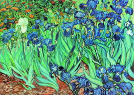10 stuks poster op karton Irissen Vincent van Gogh POS-0007 posters(20.8Cm / 29.5Cm) 