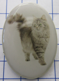 BRO529 broche kat