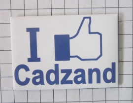 10 stuks koelkastmagneet I like Cadzand N_ZE3.502