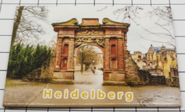 10 stuks koelkastmagneet Heidelberg N_DH006