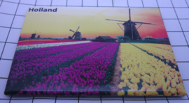 10 stuks koelkastmagneet Holland  Molens tulpenveld MAC:20.286