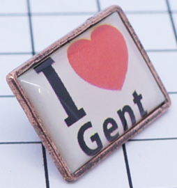 5 stuks pins (=1,49 per stuk) PIN_BB201 pin I Love Gent