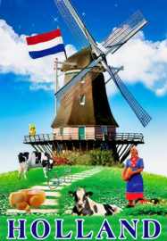 12 stuks 3D koelkastmagneet 3D-NLD003