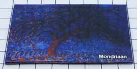 10 stuks koelkastmagneet  Mondriaan Holland MAC:20.535