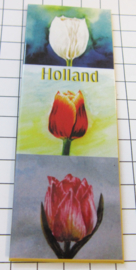 10 stuks koelkastmagneet Holland Tulpen MAC:21.101