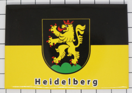 10 stuks koelkastmagneet Heidelberg N_DH009