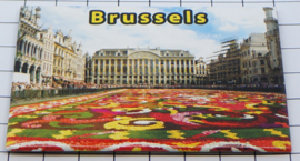 10 stuks koelkastmagneet Brussels N_BX050