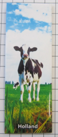 10 stuks koelkastmagneet koe Holland MAC:21.511