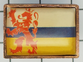  5 stuks pins (=1,49 per stuk) PIN_LI9.001 pin Limburg uitverkocht